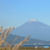 秋の富士山と枯れすすき