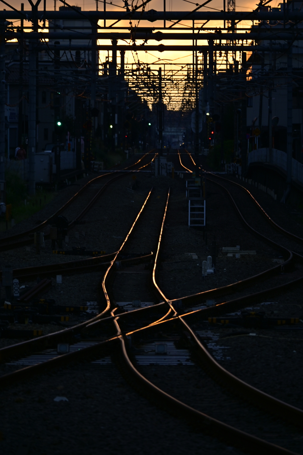 夕日の光に照らされる鉄路