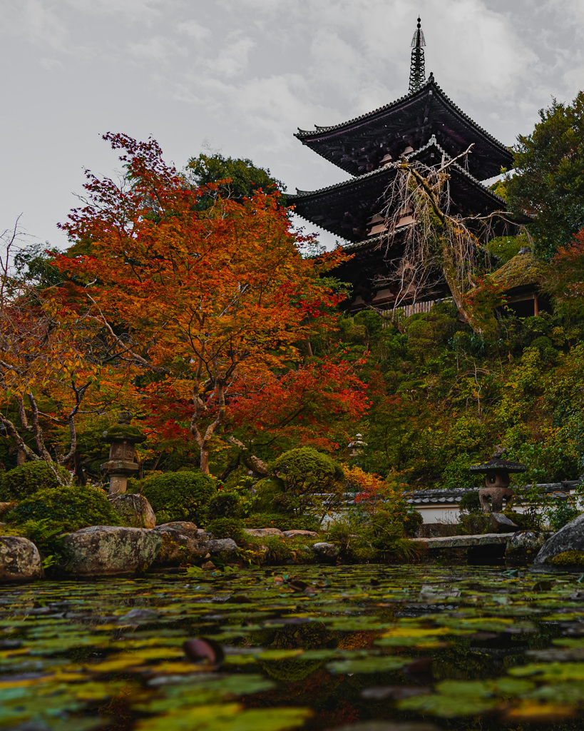 當麻寺