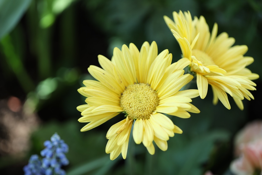 4848D808-E590-4E53-BB9A-8ADB9F35425A