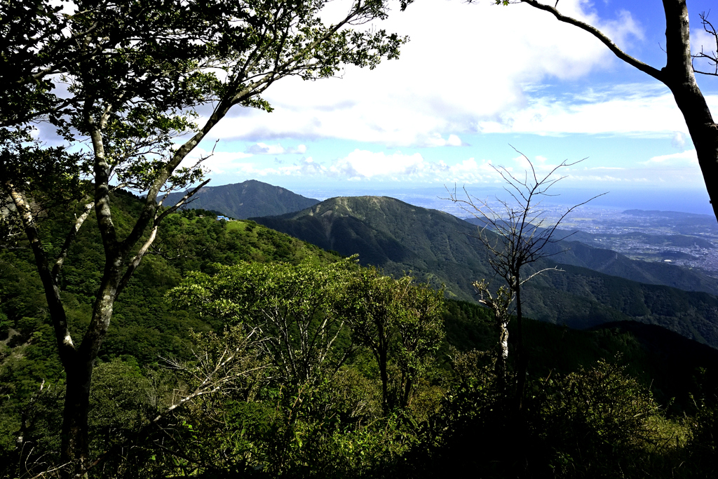 鍋割山から塔ノ岳へ向かう尾根からの大山と三ノ塔
