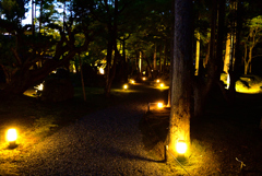 京都洛北の日本庭園夜景３
