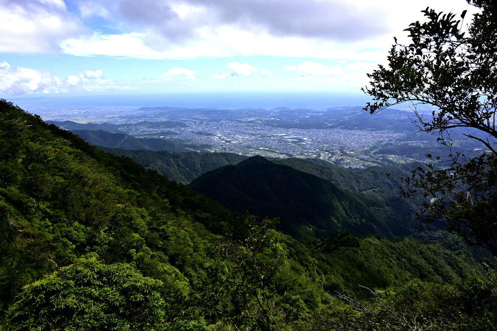 鍋割山から塔ノ岳へ向かう尾根から大倉尾根、秦野、相模湾