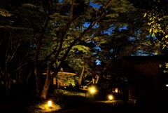 京都洛北の日本庭園夜景2