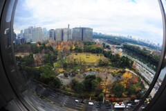 日比谷公園越しの風景