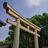 明治神宮（鳥居）