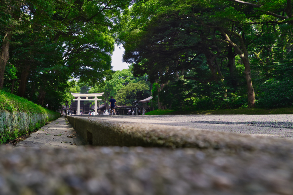 明治神宮（参道）