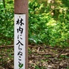 明治神宮（参道）