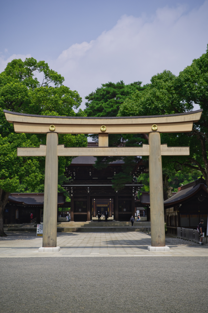 明治神宮（鳥居）