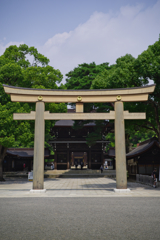 明治神宮（鳥居）