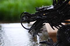 賀茂神社_手水舎2