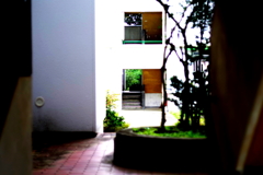 仙台市泉区_加茂団地