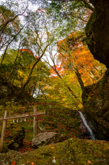 綾広の滝と紅葉
