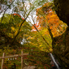 綾広の滝と紅葉