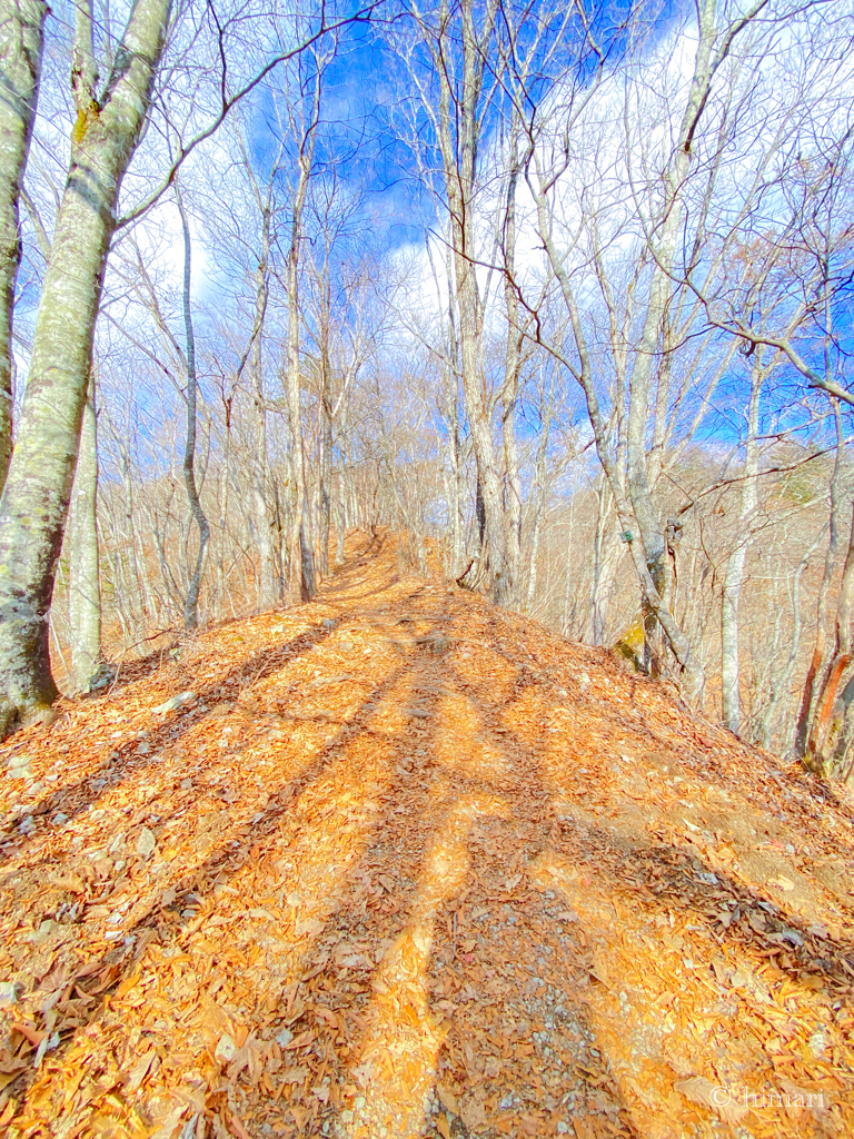 山頂直前の道