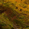 ロックガーデンの紅葉