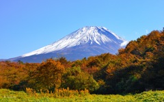 雪富士と紅葉