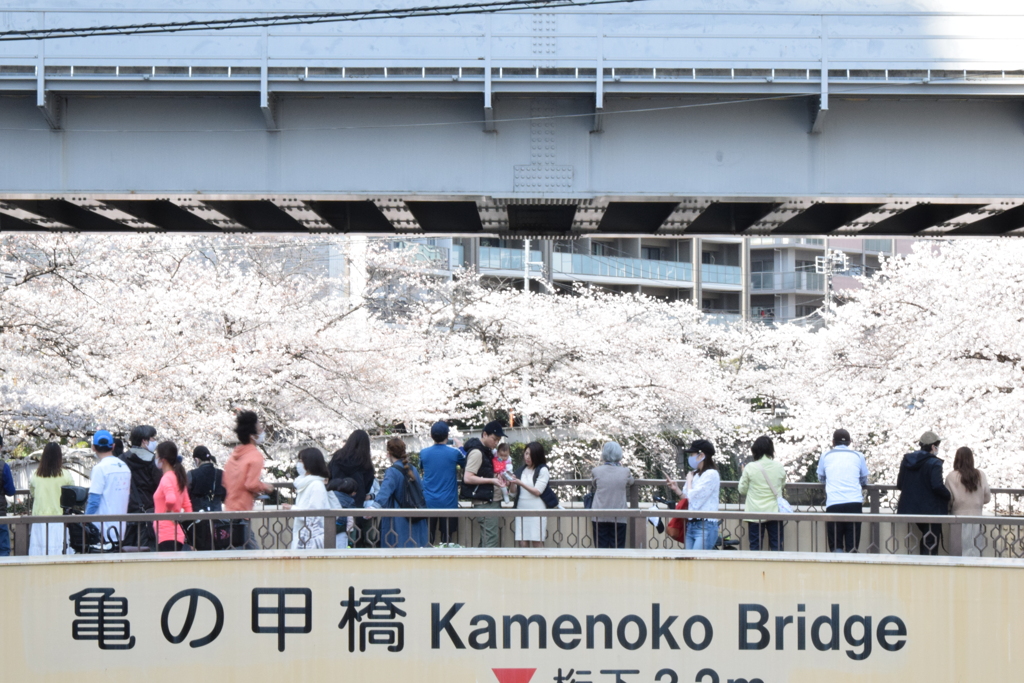 CFF39F25-3E04-42C9-8DA1-5BD69F80698F