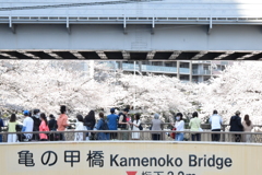 CFF39F25-3E04-42C9-8DA1-5BD69F80698F