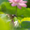 おっとっと。。