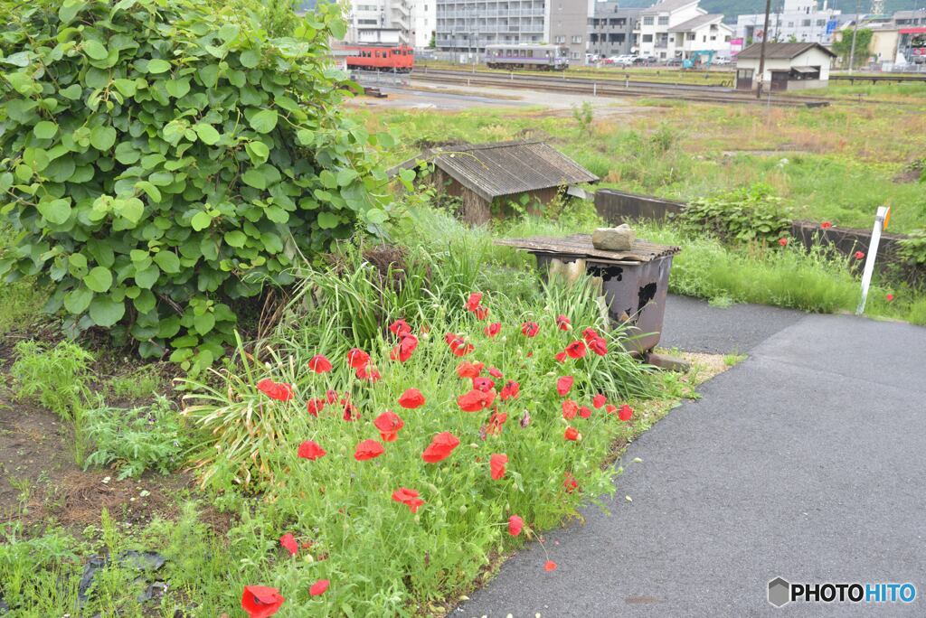 芸備線三次駅