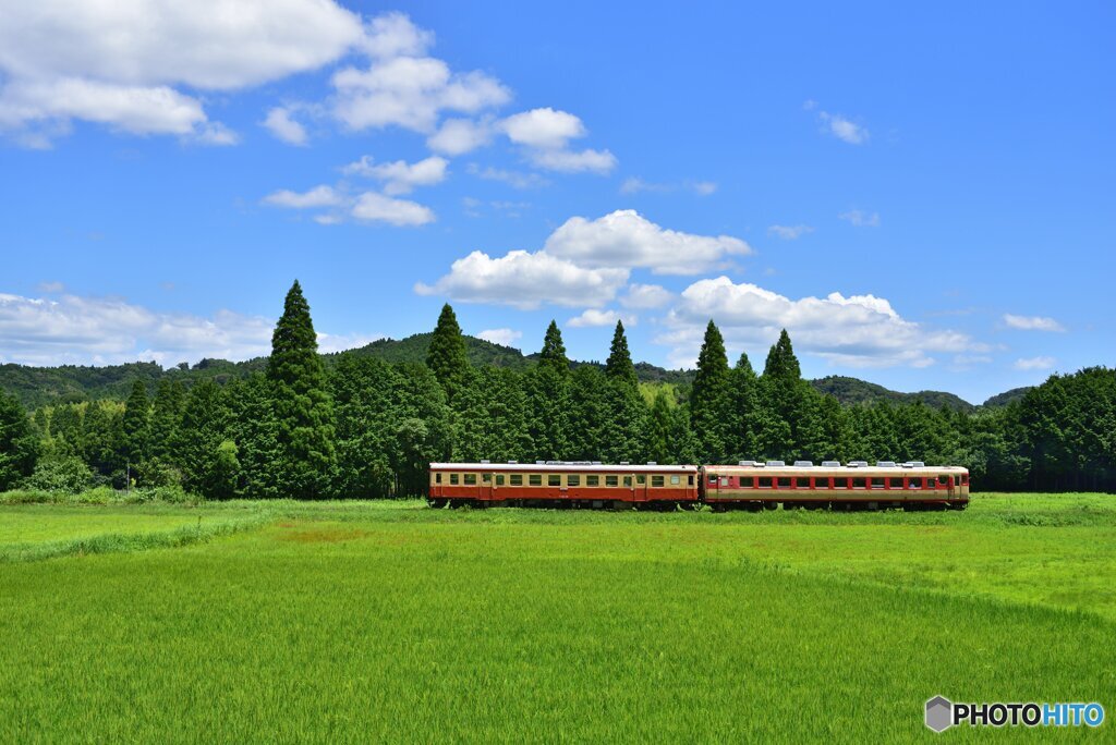 いすみ鉄道2022