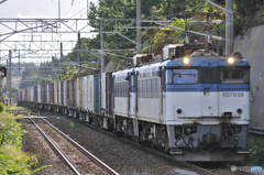 ED79重連貨物列車