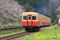 小湊鉄道（2016年春）