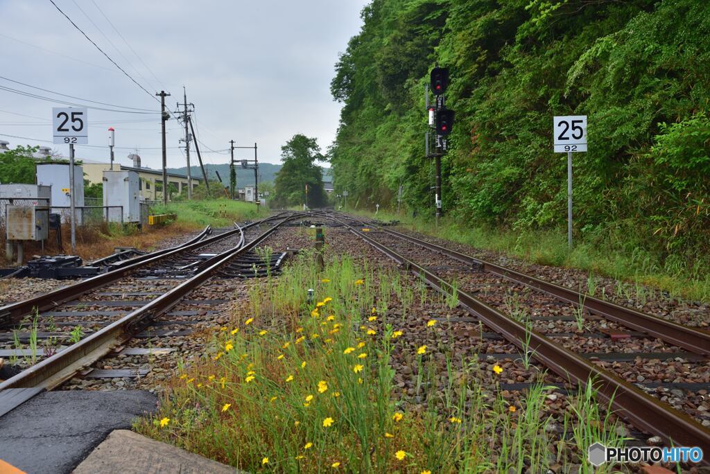 芸備線と福塩線の分岐部