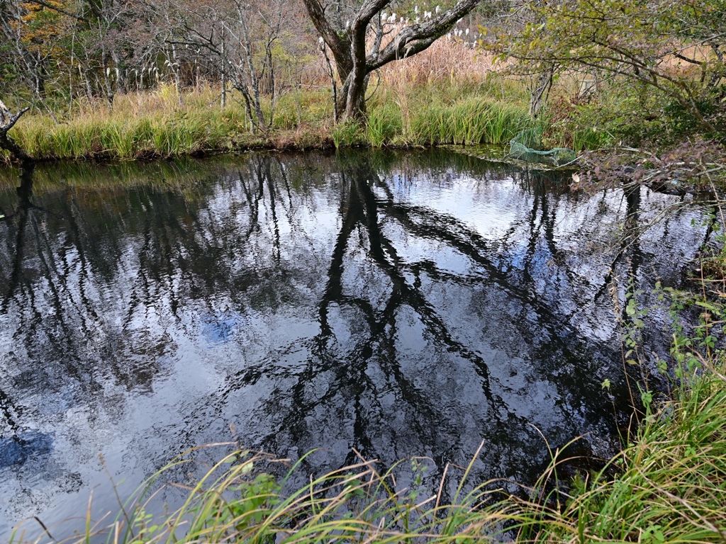 沼鏡。