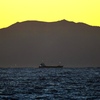 夜明の海。