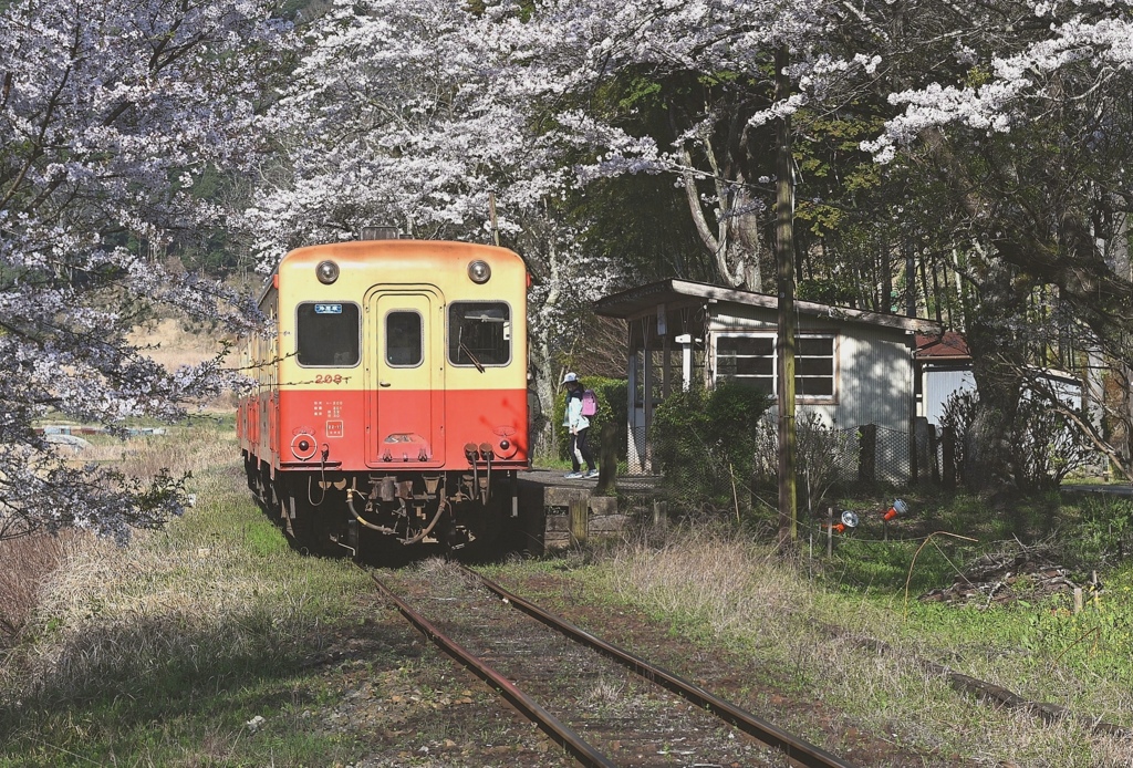 通学の朝。