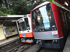 箱根登山鉄道　ベルニナⅡ号とアレグラ号。