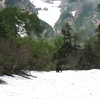 ツキノワグマ（五龍岳遠見尾根）