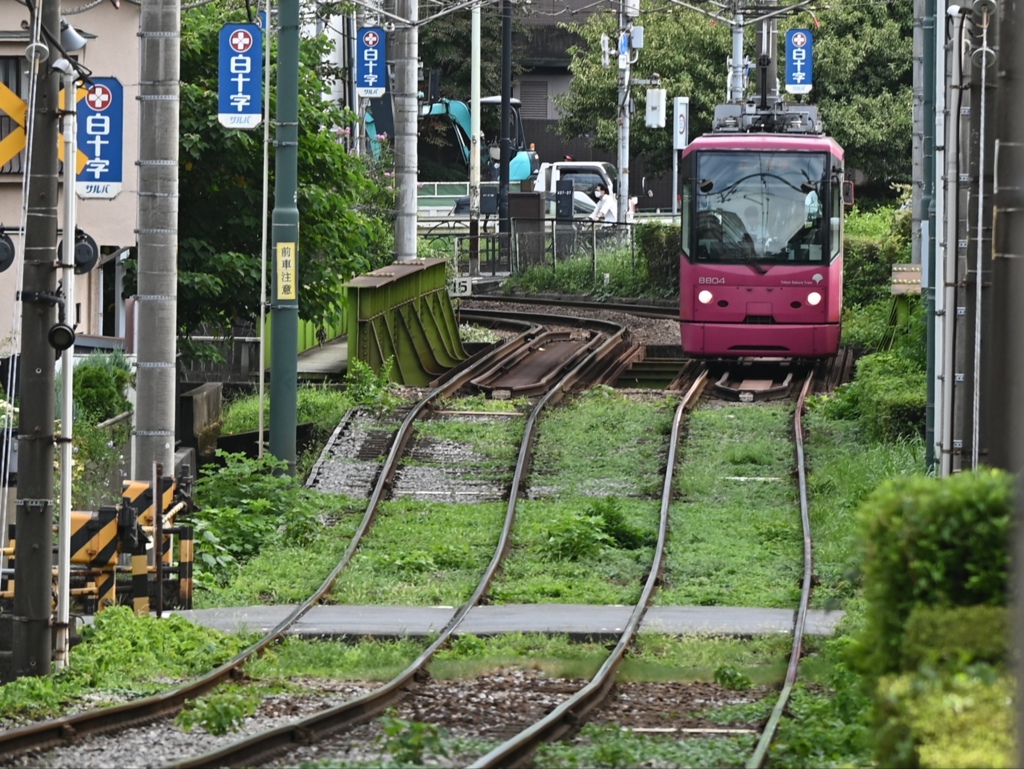 The Long And Winding Rail ♫