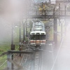 雨の桜並木を山北駅に向う御殿場線。