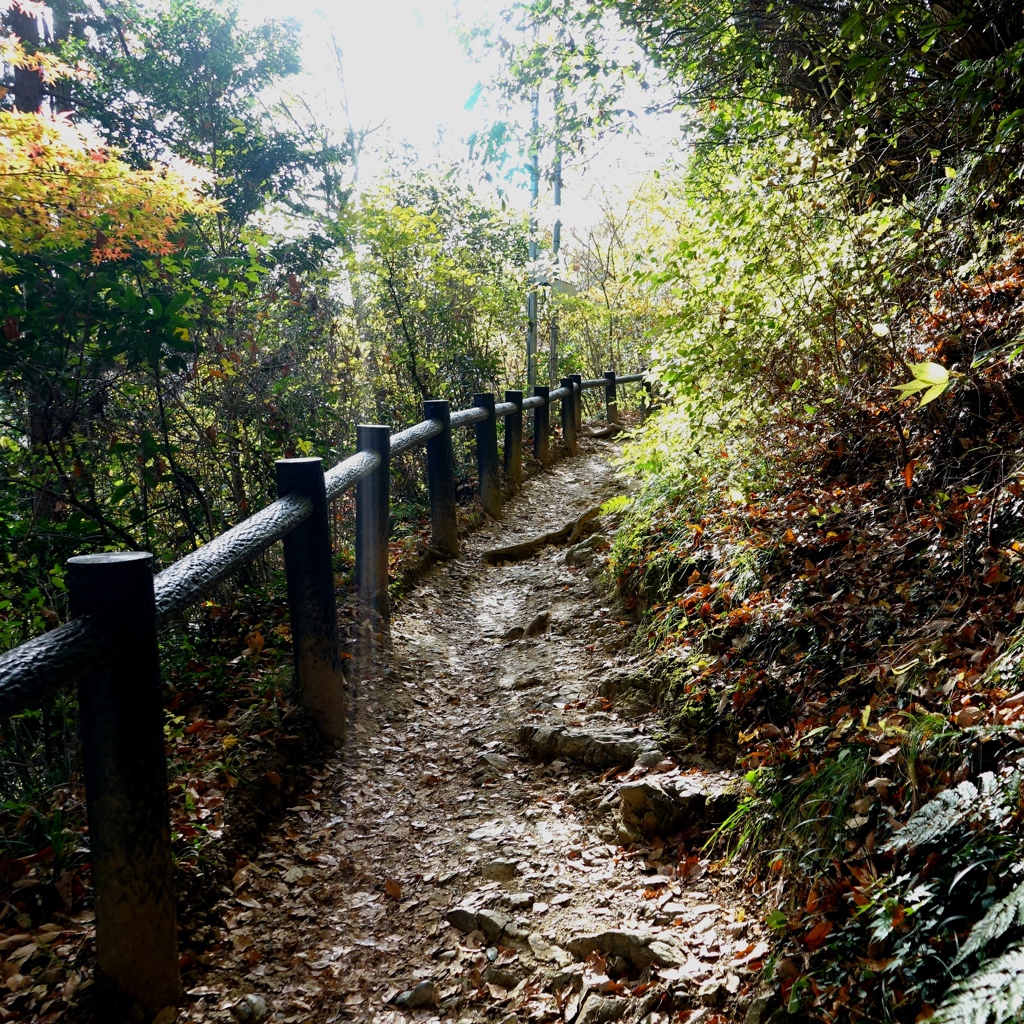 高尾山稲荷山登山道。
