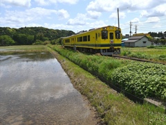 いすみ鉄道、久保県道踏切付近。⑬