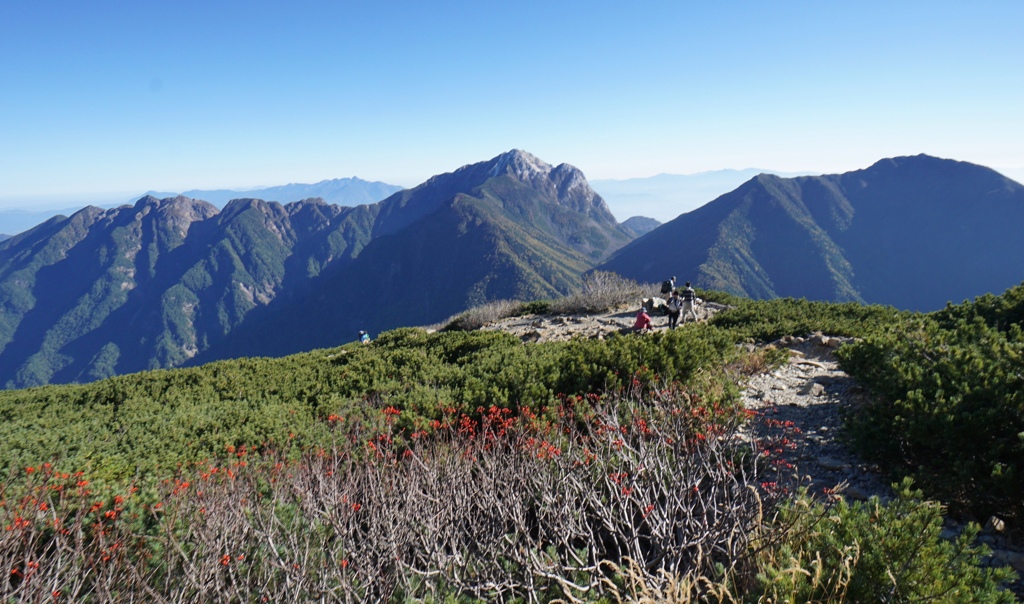 ナナカマドの赤い実と甲斐駒ヶ岳…思い出の山行（仙丈ヶ岳登山道）。