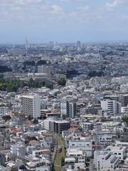 世田谷線…夏の空。