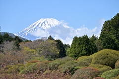 富士の見える庭園。