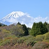 富士の見える庭園。