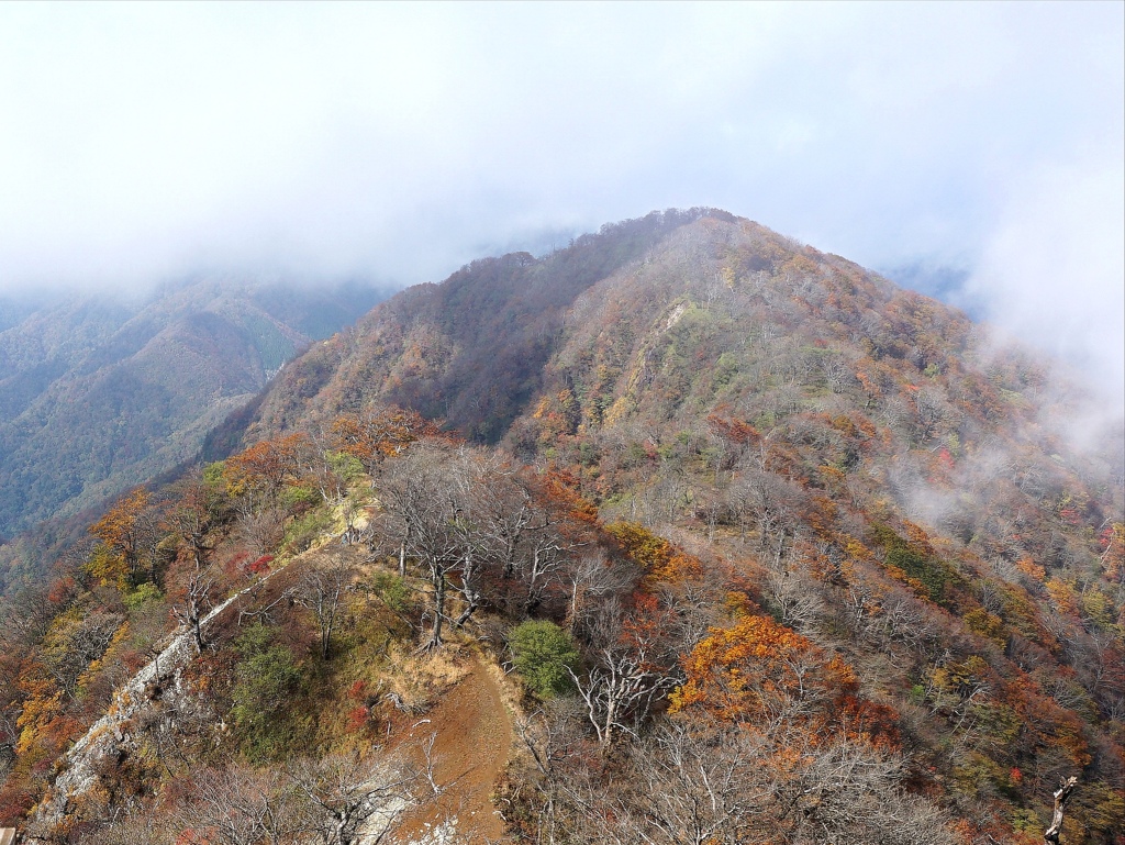 丹沢山地檜洞丸山頂の眺望。
