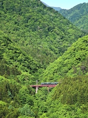 燃ゆる新緑と仙山線。