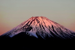 朝日に染まる富士。