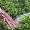 新緑の黒部峡谷とトロッコ電車。