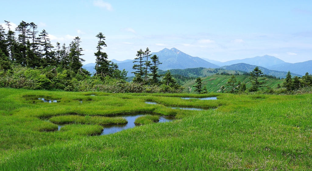 思い出の山行…会津駒高層湿原より燧ヶ岳を望む。