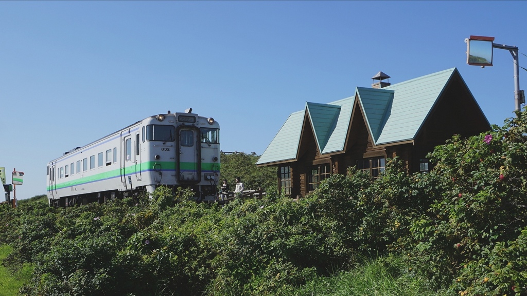 ハマナス咲く原生花園駅を通過するキハ40系。