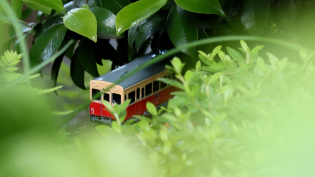 乗車記念に…⑱