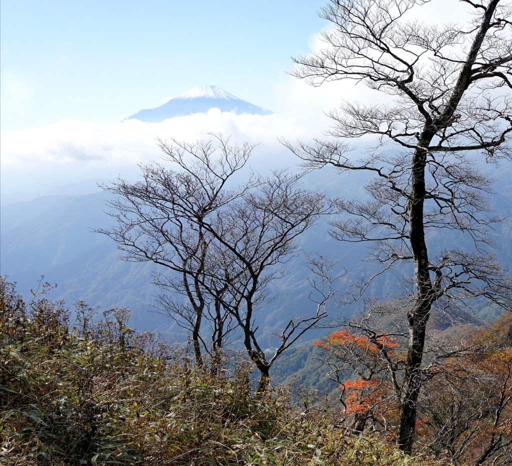 丹沢山地檜洞丸登山道。